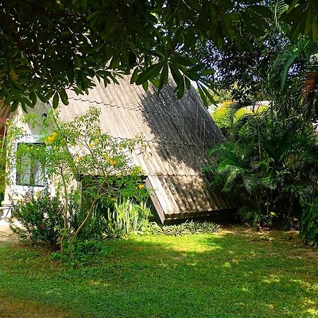 Cashewnut Tree Resort Ko Lanta Exteriör bild